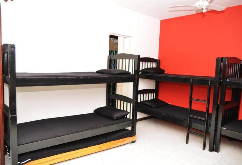 ペンション Suite De Férias