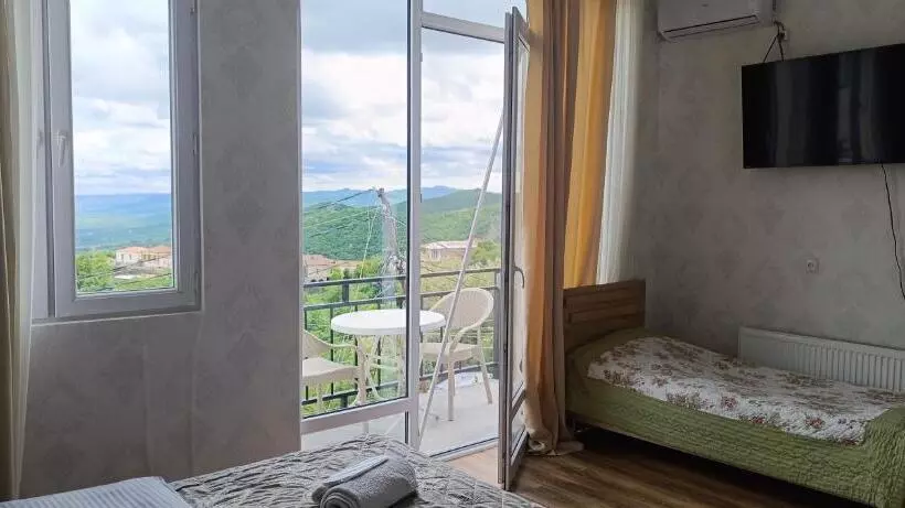 پانسیون Guest House Alazani Valley