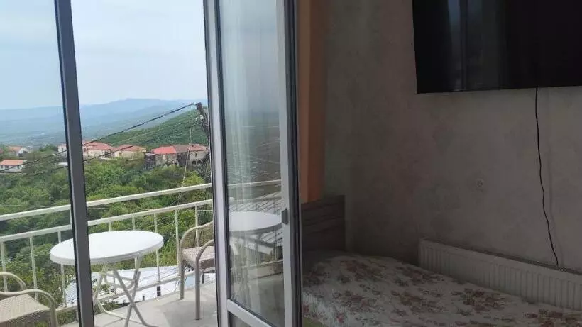 پانسیون Guest House Alazani Valley