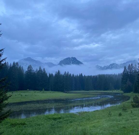 Pension (Hôtel basse catégorie) Guesthouse Andrea A