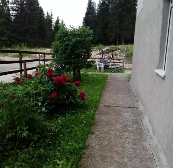 پانسیون Guesthouse Andrea A