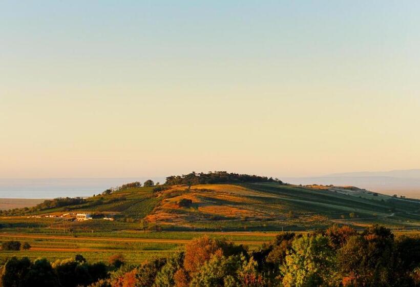 膳宿费 Gut Leithaberg