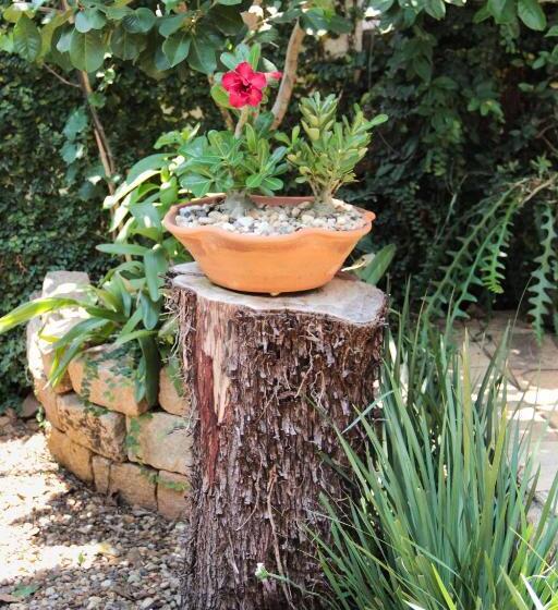 פנסיון Piccola Pousada