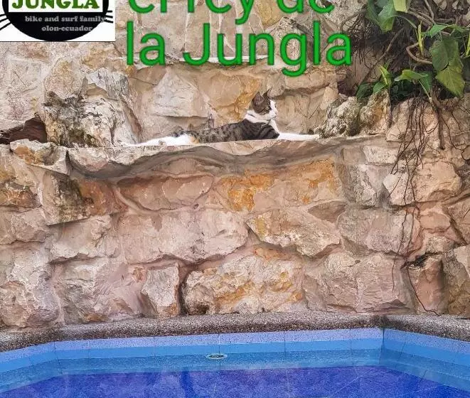 ペンション La Jungla