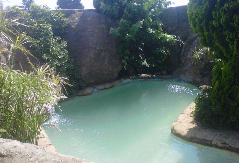 膳宿费 Pat's Place