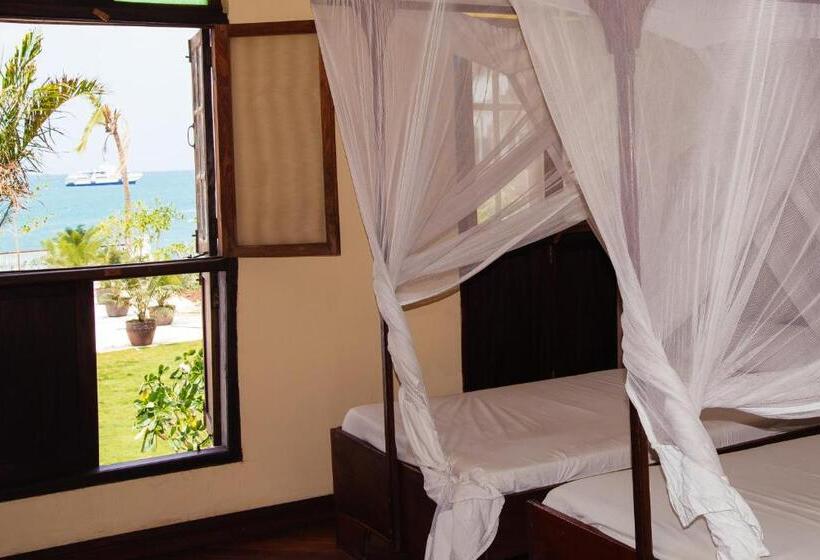 هاستل Abuso Inn