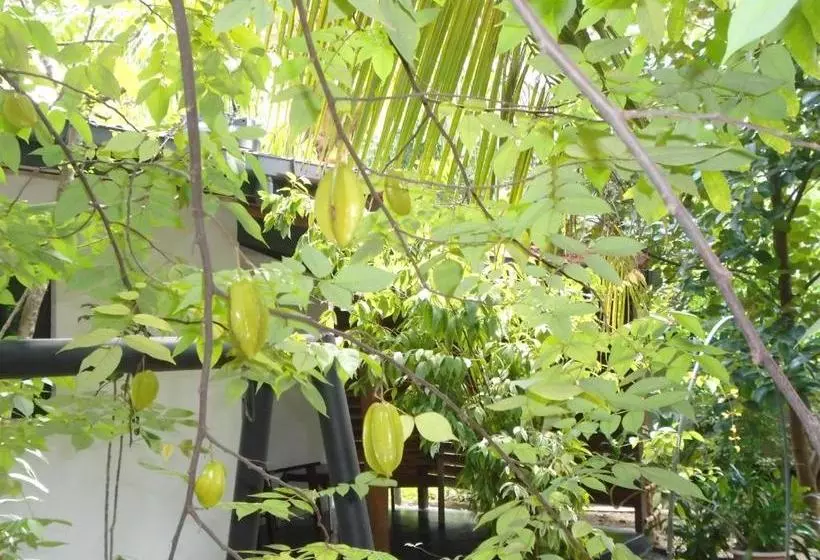 Majatalo Livinginn Polonnaruwa