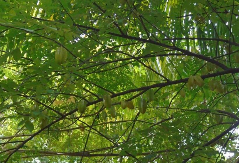 膳宿费 Livinginn Polonnaruwa