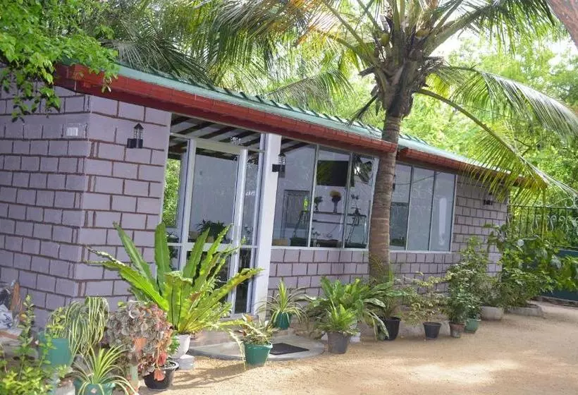 Majatalo Livinginn Polonnaruwa