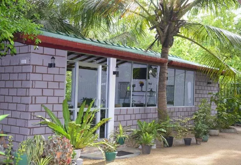 Majatalo Livinginn Polonnaruwa