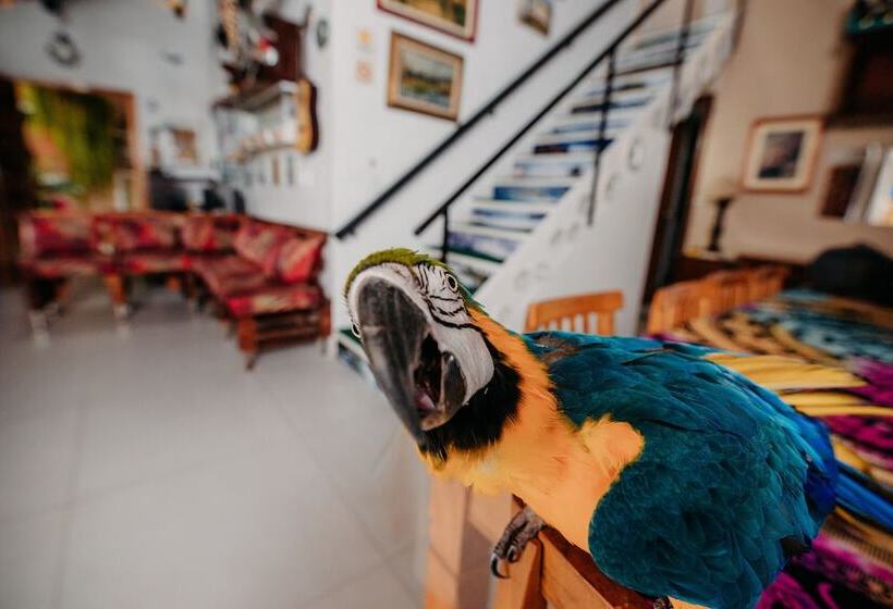 Pension Pousada Do Bispo