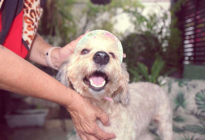 Pension Pousada Do Bispo