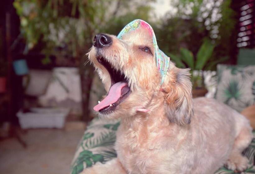 Pension Pousada Do Bispo