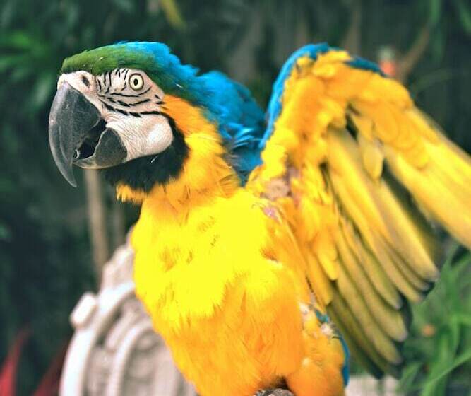 Pension Pousada Do Bispo