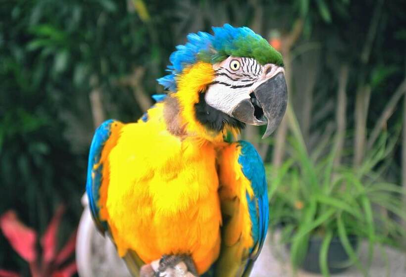 Pension Pousada Do Bispo