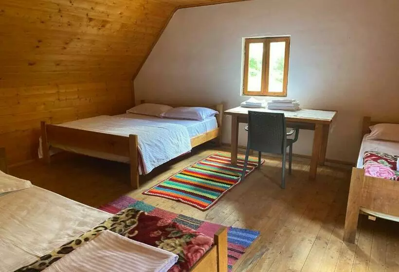 پانسیون Bujtina Leke Gerla