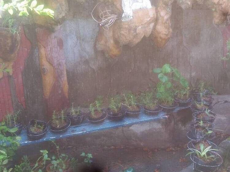 پانسیون Cvnb Bed And Bath La Union