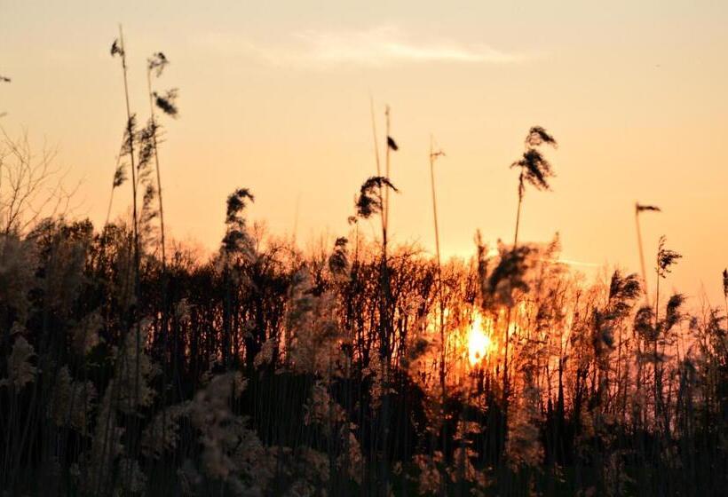 ペンション Florianus Vendeghaz