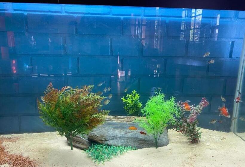 پانسیون Primavera Pousada