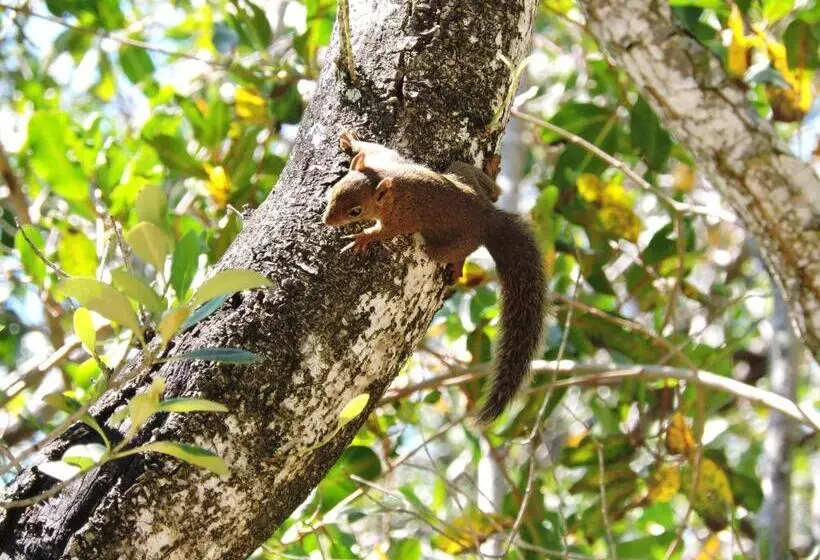 Majatalo Club Mv Saco Do Céu