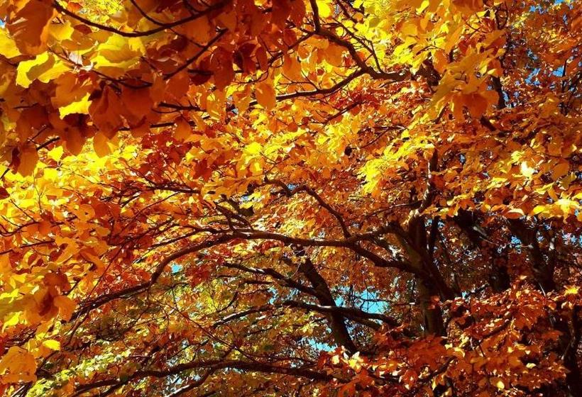 Пансион Eco Rai Rekata