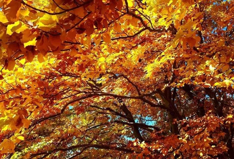 پانسیون Eco Rai Rekata