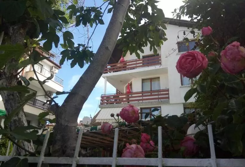 پانسیون Guesthouse Oasis