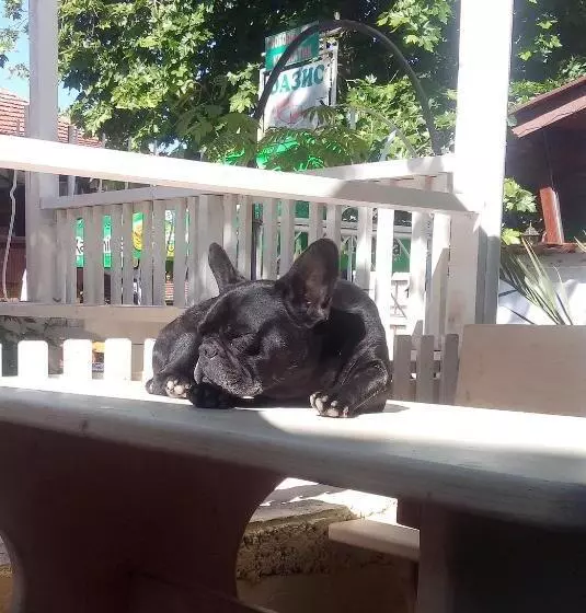 پانسیون Guesthouse Oasis