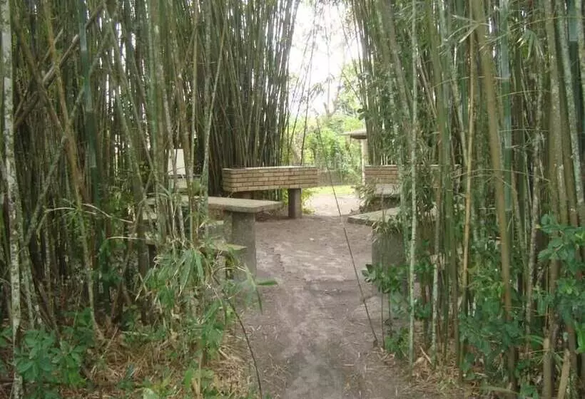 ペンション Samburá Chalés