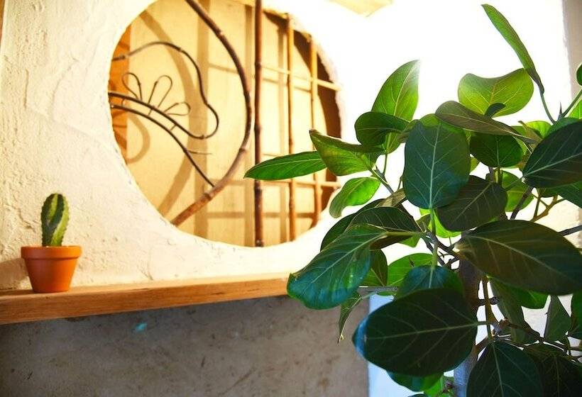 פנסיון Hostel Moku Moku