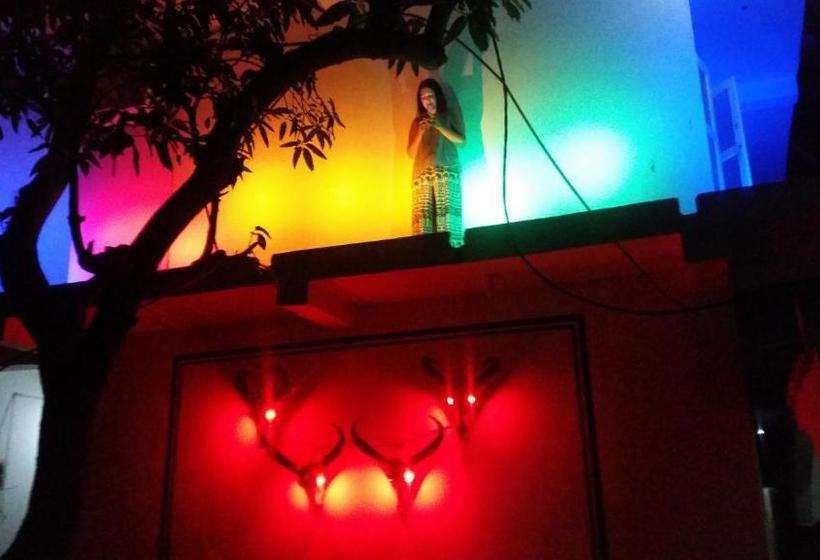 بنسيون Selahn Inn