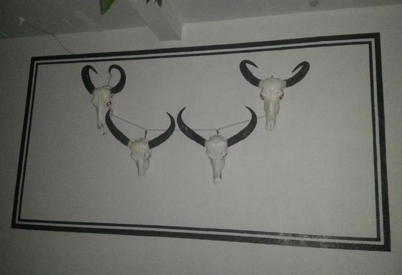 بنسيون Selahn Inn