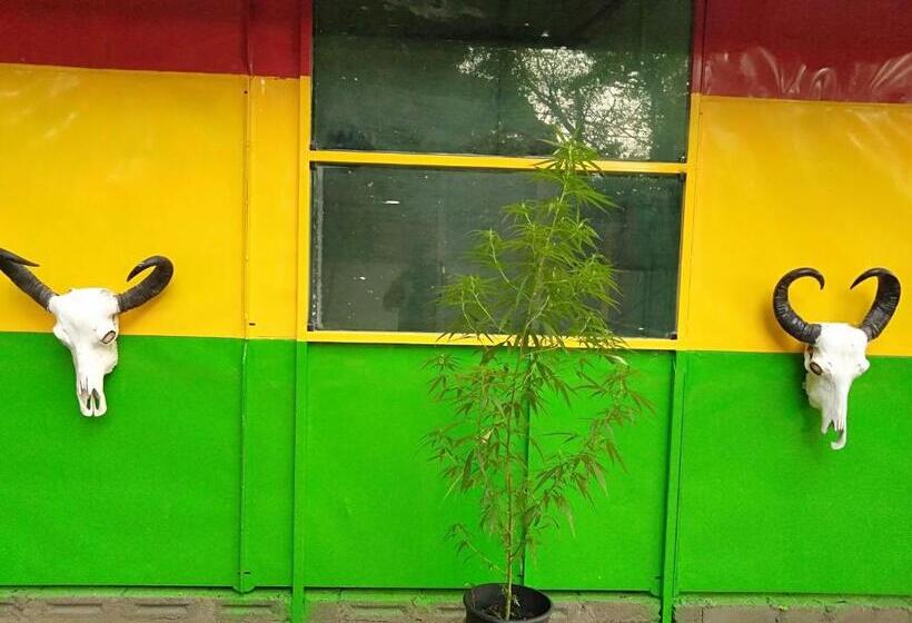 بنسيون Selahn Inn