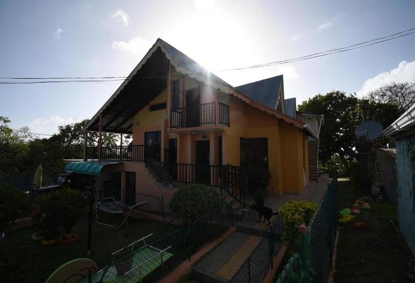 هاستل Marcia`s Place