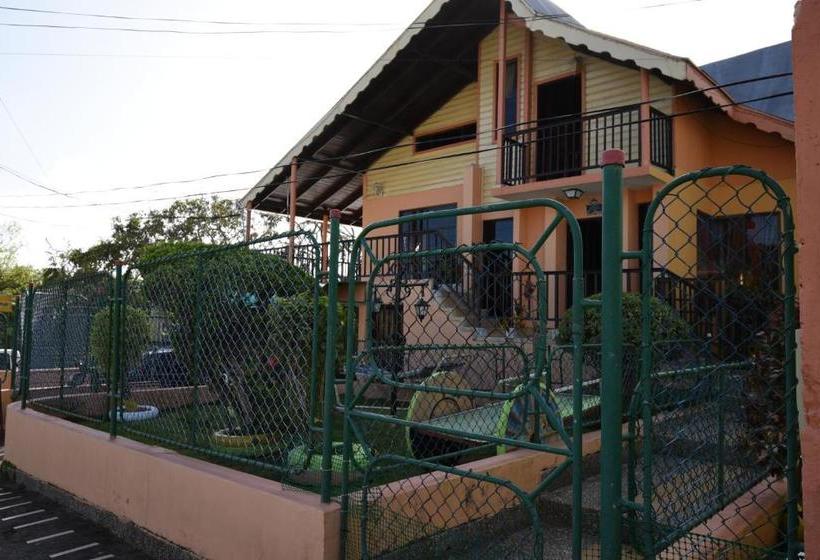 هاستل Marcia`s Place