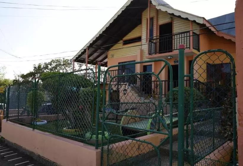هاستل Marcia`s Place
