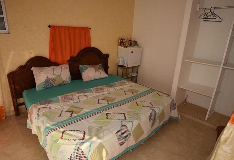 هاستل Marcia`s Place