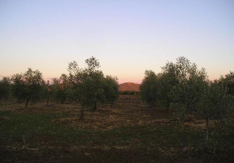 酒店 Agriturismo Benvenuti