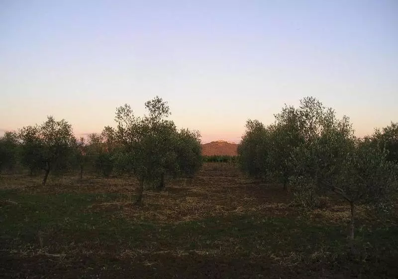 ホテル Agriturismo Benvenuti