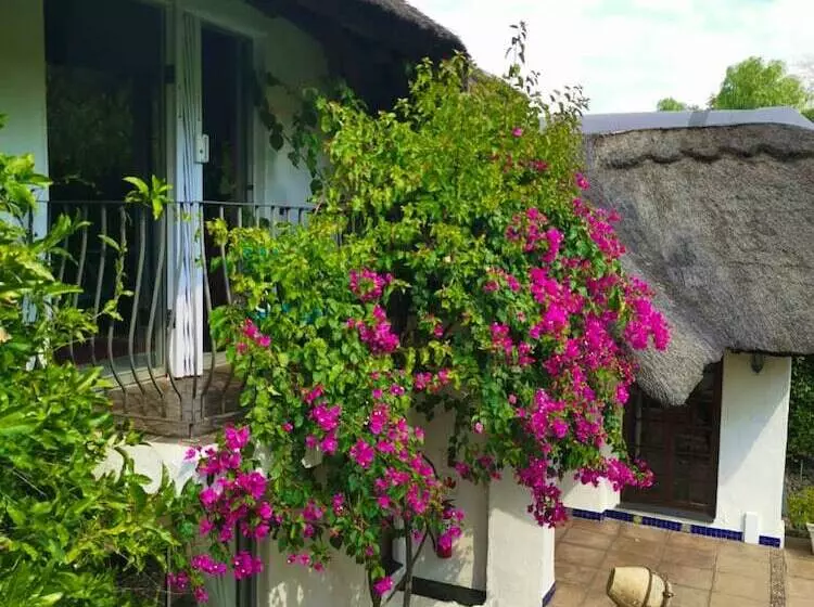 ペンション De Witt E Guest House