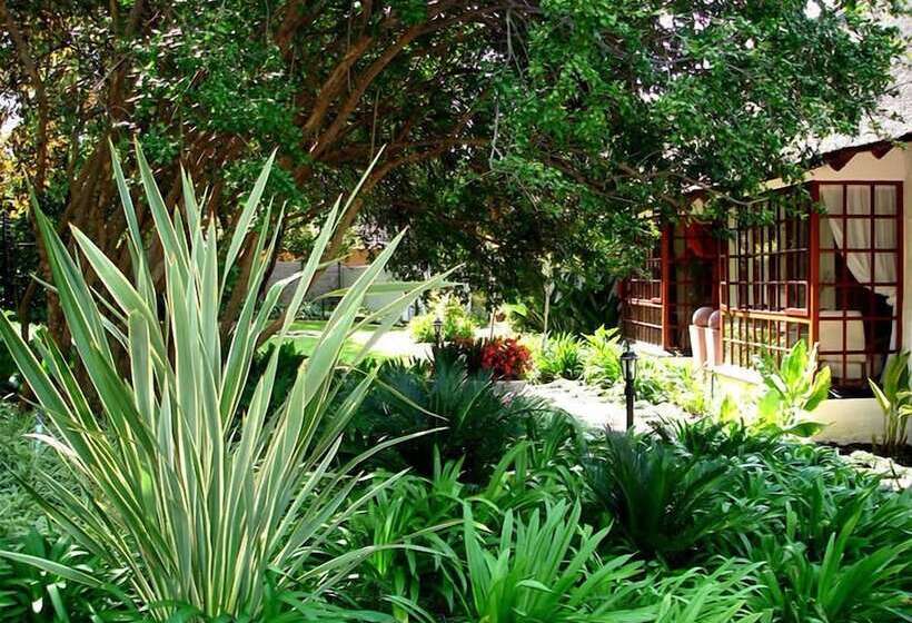 ペンション De Witt E Guest House