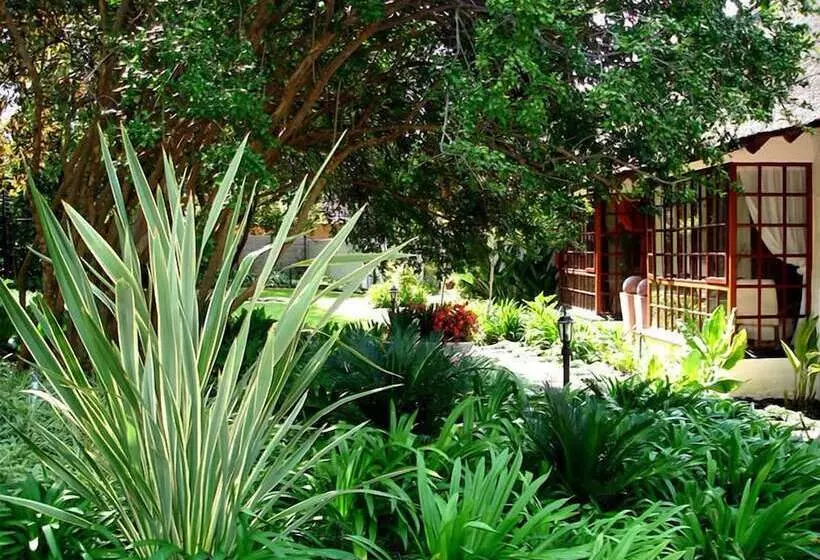 ペンション De Witt E Guest House