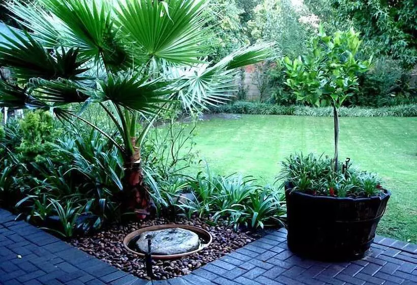 ペンション De Witt E Guest House