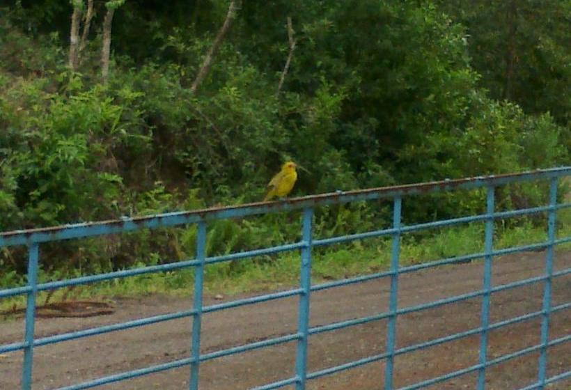 Pension Eco Pousada Recanto Tucano