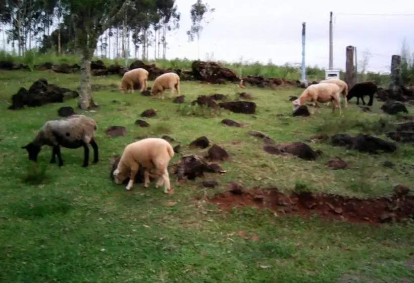 ペンション Eco Pousada Recanto Tucano