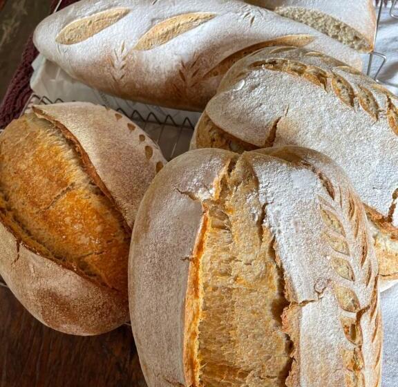 ペンション Pousada Rural Ouro Verde