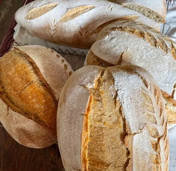 ペンション Pousada Rural Ouro Verde