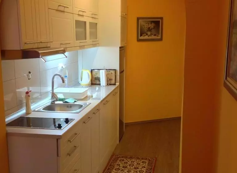 پانسیون Apartments Villa Svetlana