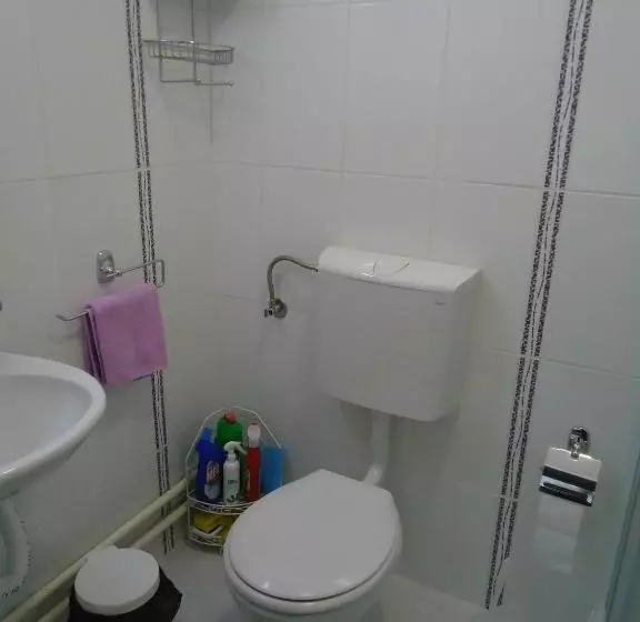 پانسیون Apartments Villa Svetlana