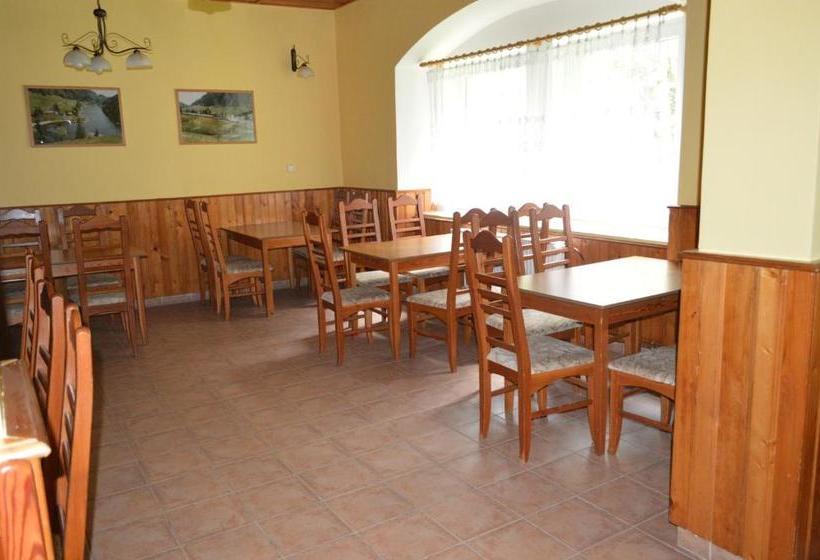 펜션 Penzión Borovica